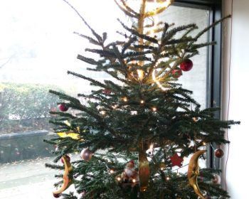 Der Weihnachtsbaum an der Dependance