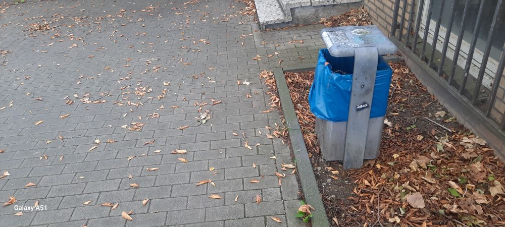 Horststr. B11