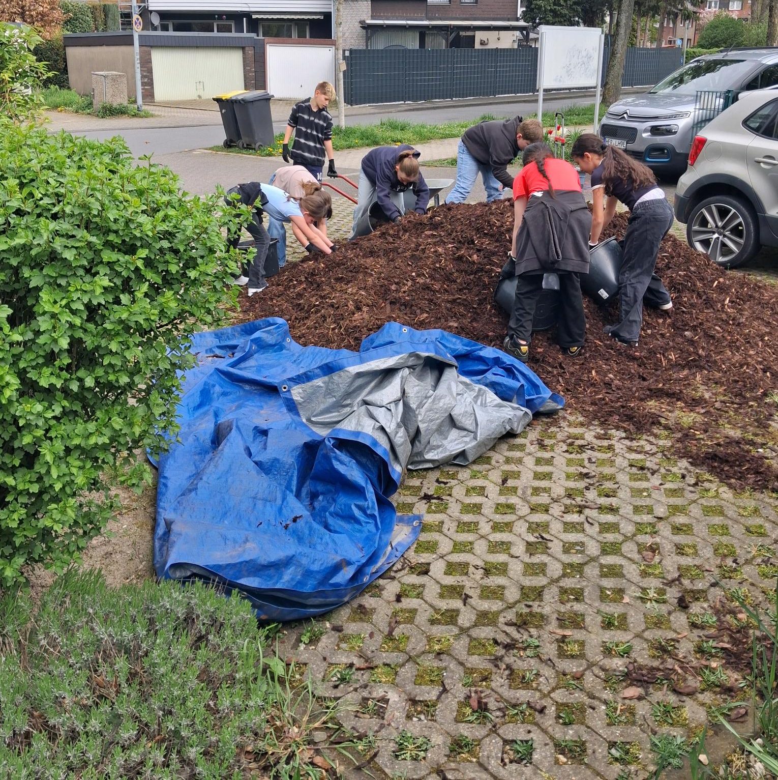 2026_04_UrbanGardening3